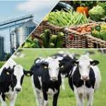 Agribusiness Agribusiness
